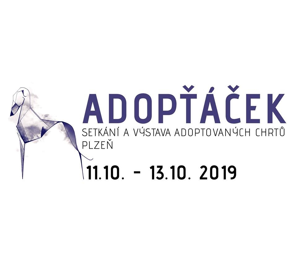 1. setkn a vstava adoptovanch chrt se bl!