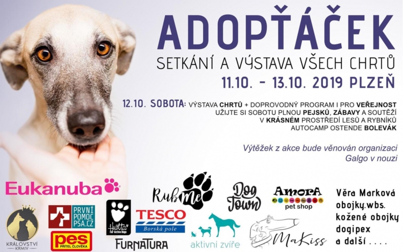 adoptacek1