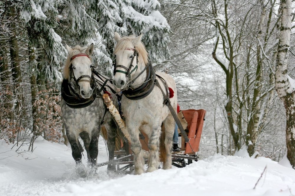 Koně a zima, na co dát pozor?
