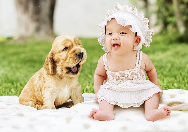 Dítě a pes, jak připravit psa na nového člena rodiny?