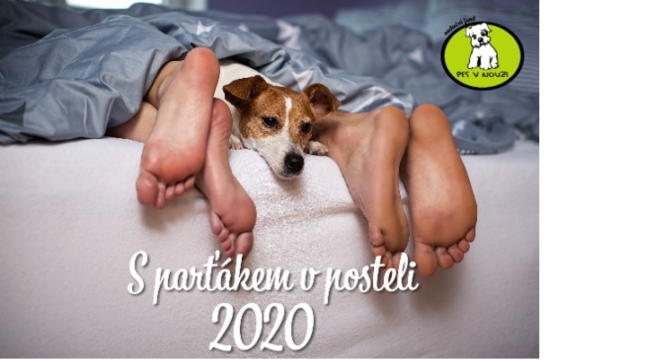 Pomozte vydat kalend, kter podpo psy v tulku!