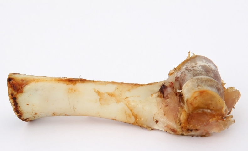 Jsou kosti pro psa nebezpečné? Může jíst pes kosti?