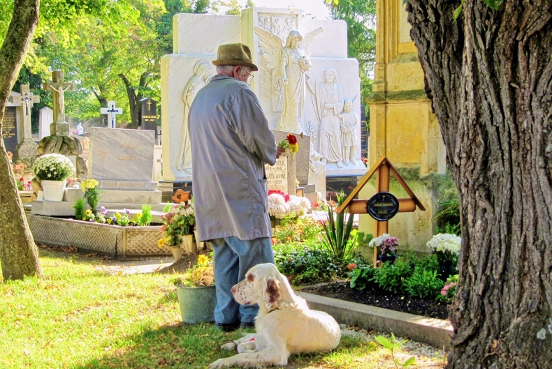 Smrt psa: je lepší pohřbít psa na zahradě a nebo využít služby psího krematoria?