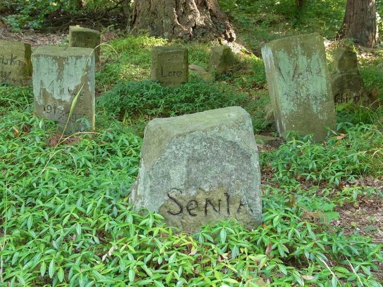 Smrt psa: je lep pohbt psa na zahrad a nebo vyut sluby psho krematoria?
