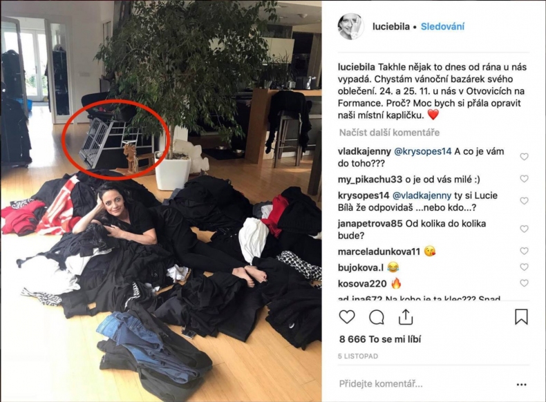 Zpvaka Lucie Bl se stala terem rozhnvanch pejska, vte pro?