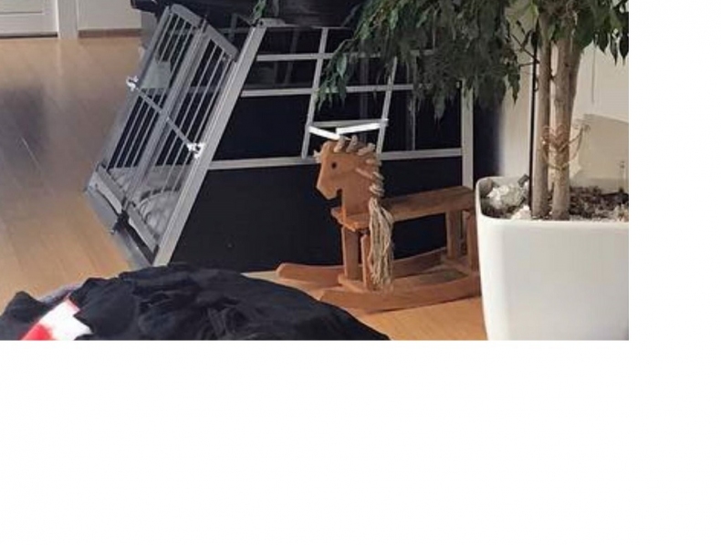 Zpvaka Lucie Bl se stala terem rozhnvanch pejska, vte pro?
