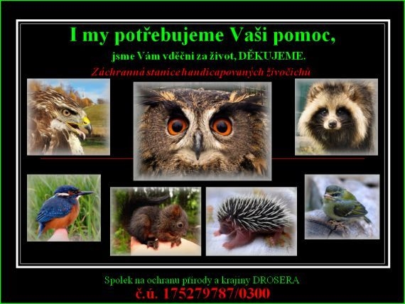 Prvn baby box pro zvata..