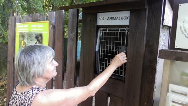 První baby box pro zvířata..