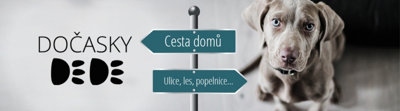 Kon dva velk tulky, co bude se psy?