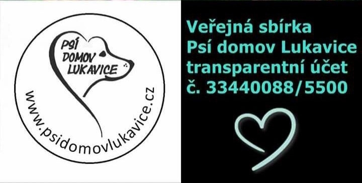 Ps Domov Lukavice zdil prvn dog- box!