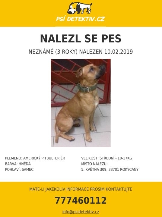 Pes z vlaku jede dom! Ozval se majitel!