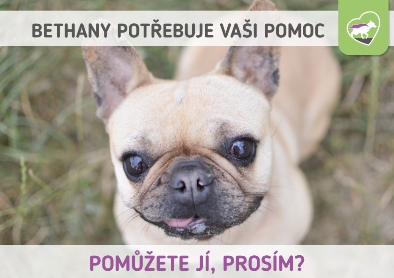 Znte organizaci Handipet Rescue? Pokud ne, tak byste to mli rychle napravit!