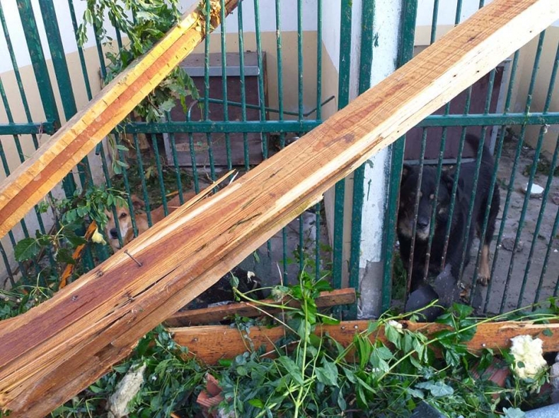 Tornádo na Moravě - Útulek pro opuštěné psy byl zničen a potřebuje vaši pomoc