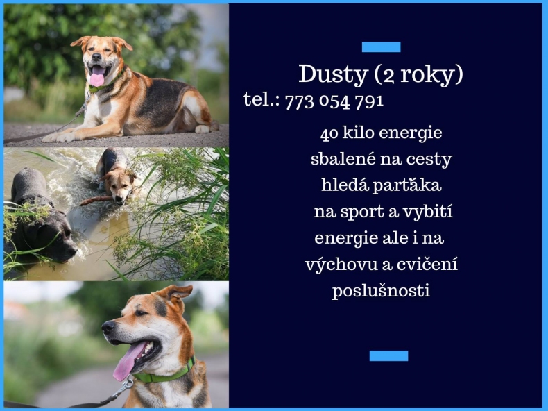 dusty6