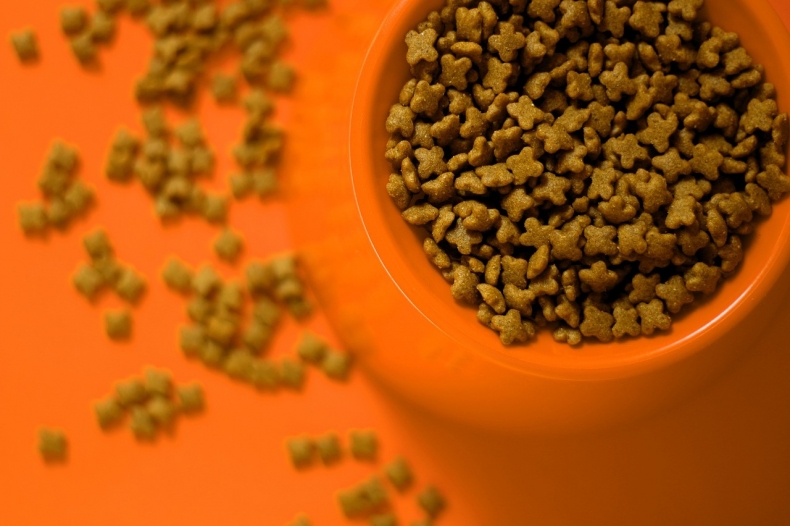 granule jidlo pro psa