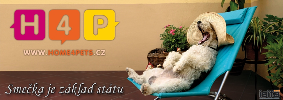 Home4Pets buduje zchrann centrum a karantnu pro zvata!