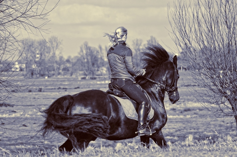 horsewoman-3568338_1280
