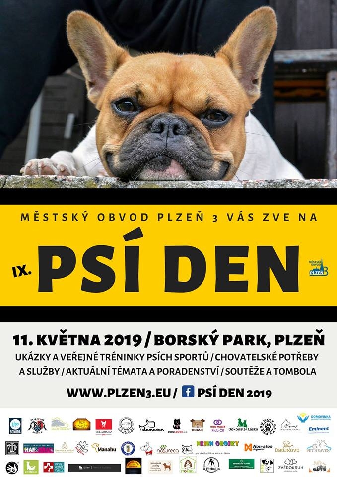 Kam v Kvtnu se psem? Ps den v Plzni!