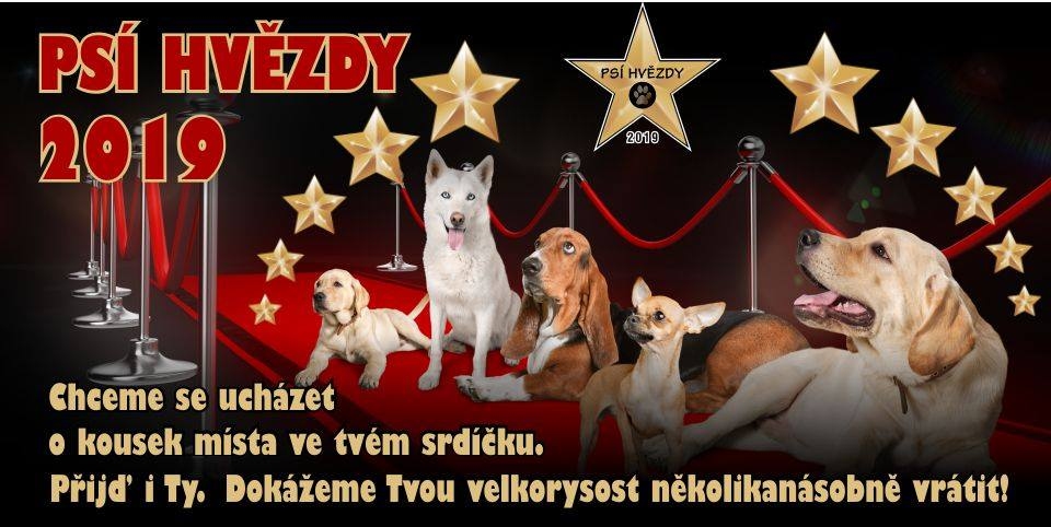 Pijte podpoit Ps hvzdy 2019!