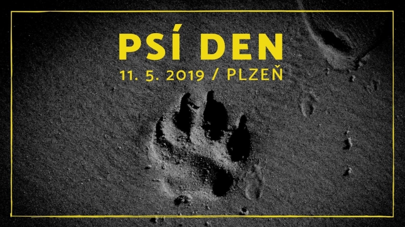 ps den1