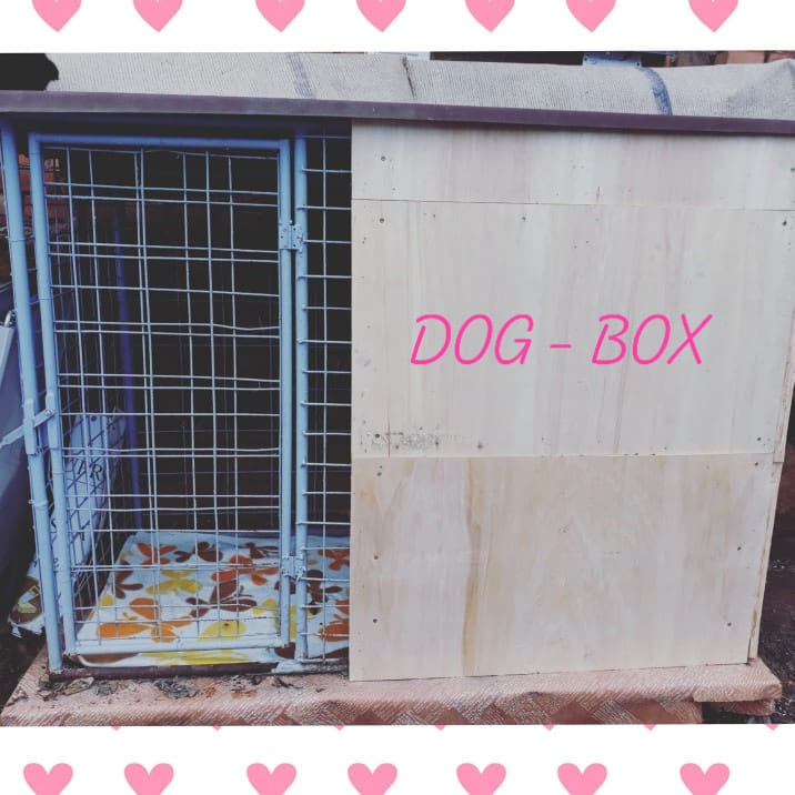 Ps Domov Lukavice zdil prvn dog- box!