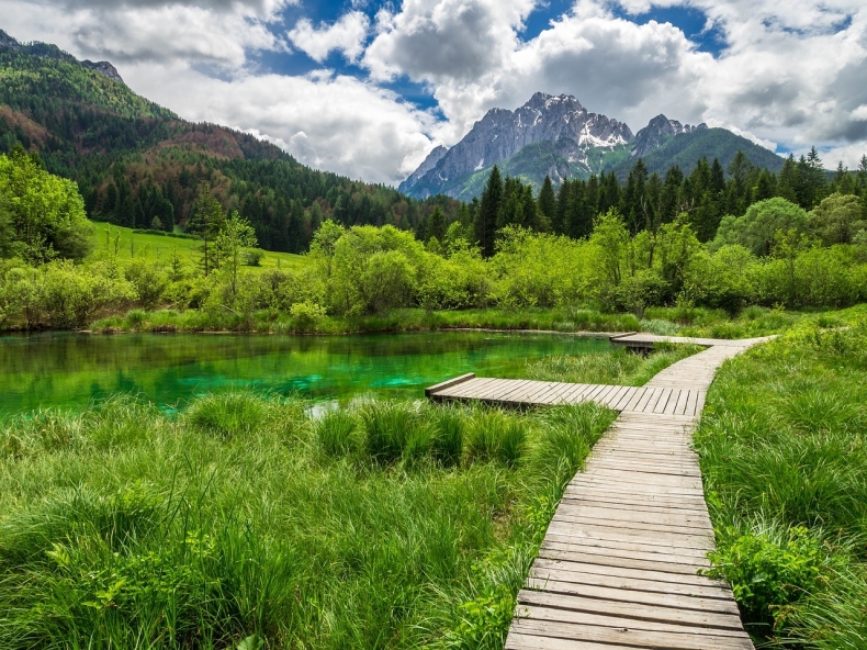 zelenci triglavsky narodni park