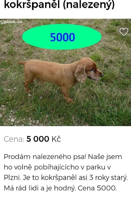 ena nabz nalezen psy za nemal penze na internetu..